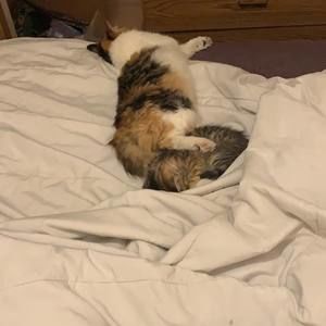 Meet your Posher, Dustin j